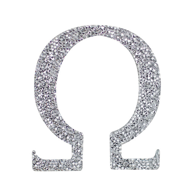 Silver Greek monogram letter with a textured rhinestone finish approximately 3x4 inches in size.
