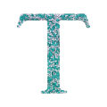 Silver Greek monogram letter with a textured rhinestone finish approximately 3x4 inches in size. Silver Greek monogram letter with a textured rhinestone finish approximately 3x4 inches in size.
