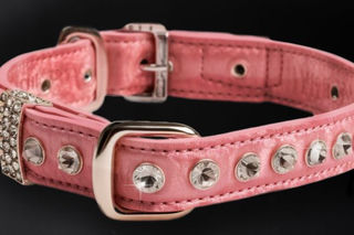 DIY Rhinestone Pet Accessories: Collars, Leashes & More
