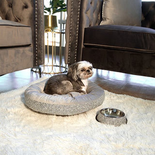 Luxury Pet Accessories: Stylish Ways to Add Sparkle to Your Pet's Life