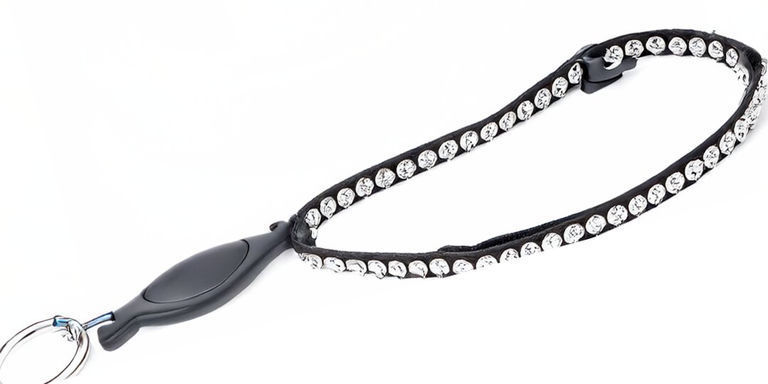 Black rhinestone-studded pet leash with silver keyring on white background